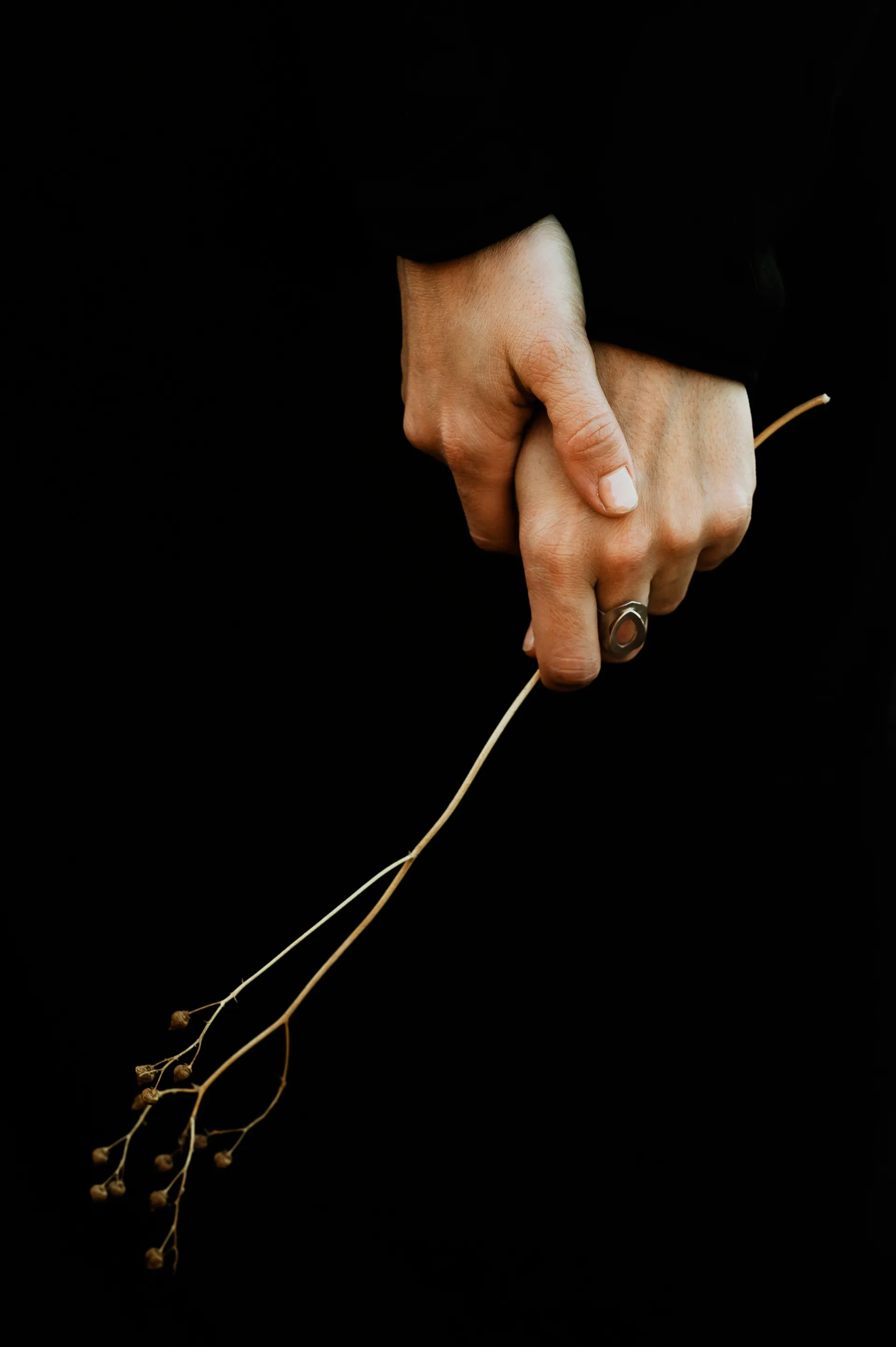 deux mains féminines sur fond noir, une bague au doigt, tenant une branche