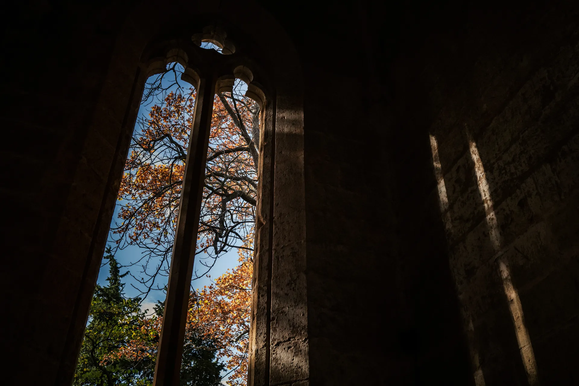 jeu de lumière à l'abbaye de Valmagne en automne
