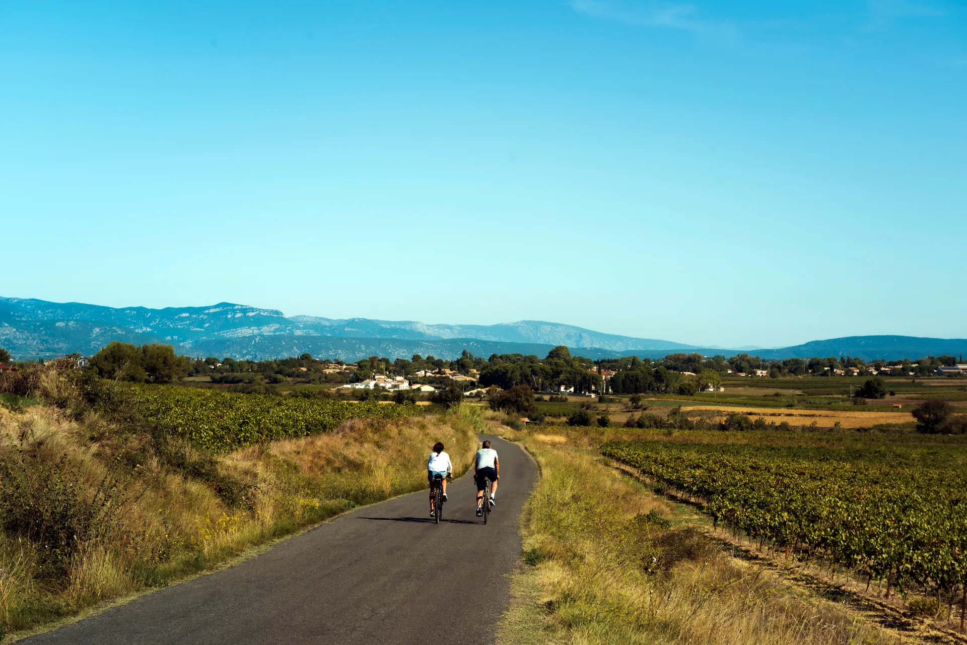 cyclo tourisme au milieu des vignes