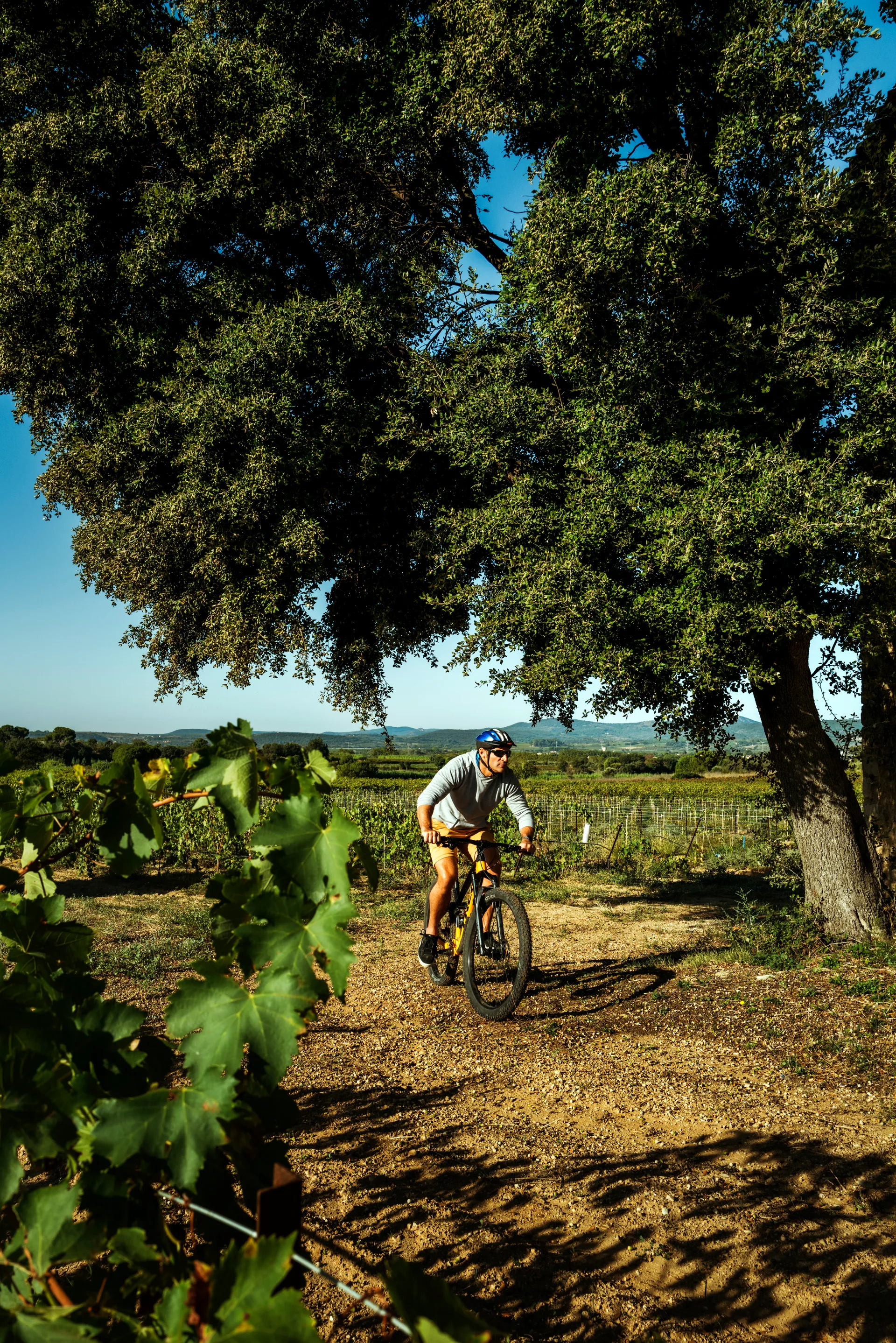 cyclo tourisme au milieu des vignes